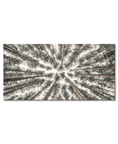 Las Iglasty Sięgający Nieba - obraz na płótnie