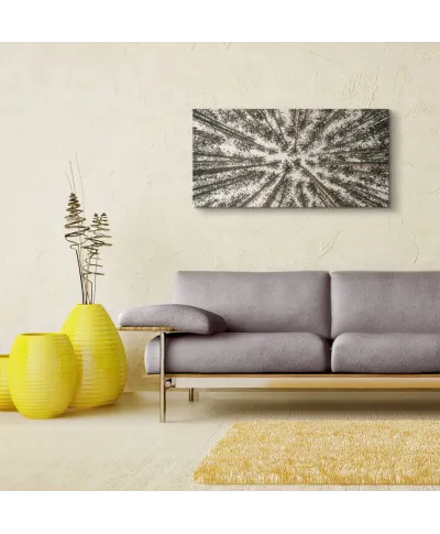 Las Iglasty Sięgający Nieba - obraz na płótnie