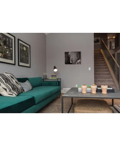 Słoń - obraz na płótnie