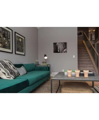 Słoń - obraz na płótnie