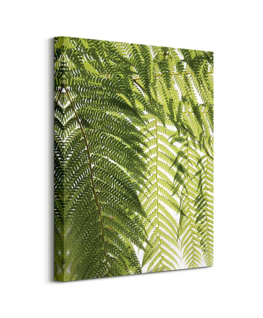 Liście Paproci - obraz na płótnie