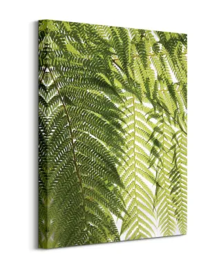 Liście Paproci - obraz na płótnie