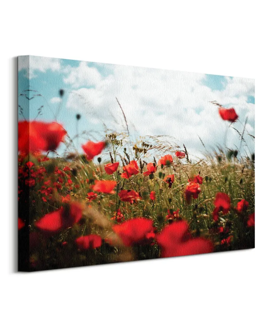 Pole Maków - obraz na płótnie