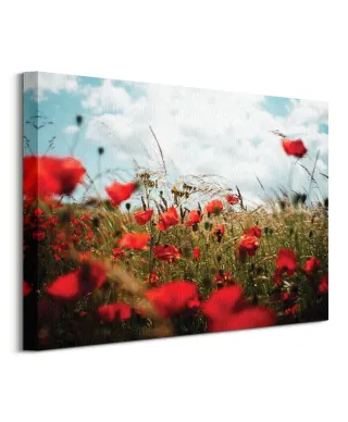 Pole Maków - obraz na płótnie