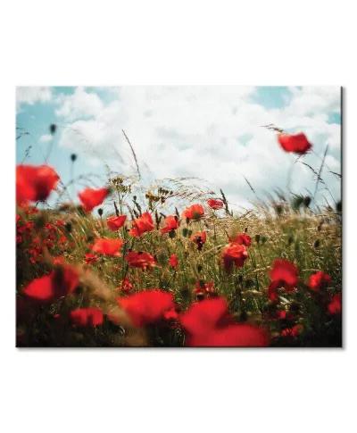 Pole Maków - obraz na płótnie