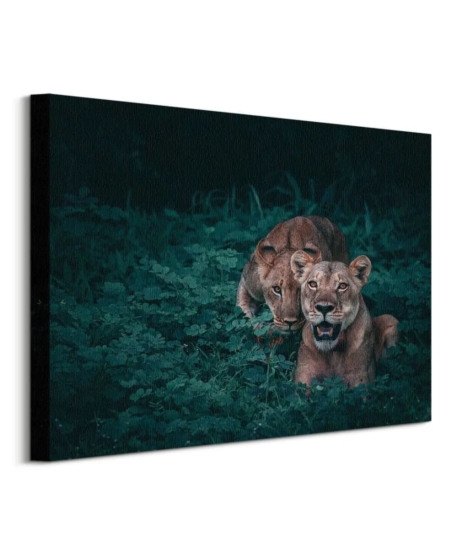 Lwice - obraz na płótnie