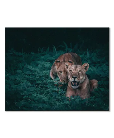 Lwice - obraz na płótnie