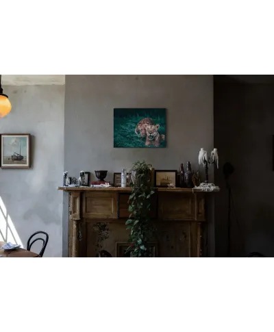 Lwice - obraz na płótnie