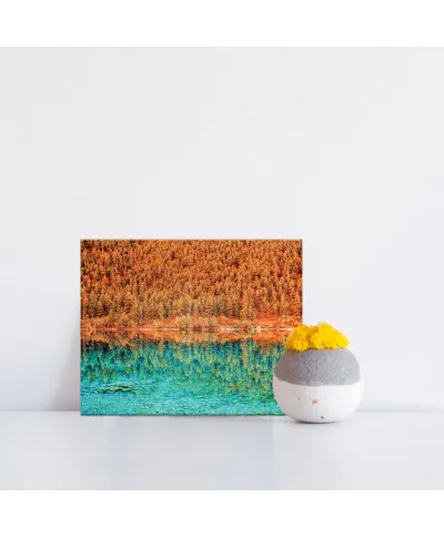 Jesienne drzewa nad jeziorem - obraz na płótnie