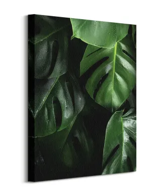 Zielona Monstera - obraz na płótnie