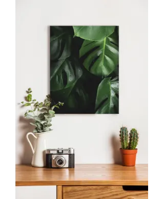 Zielona Monstera - obraz na płótnie