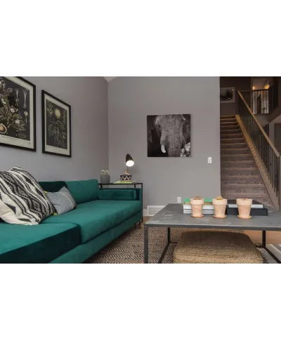 Słoń - obraz na płótnie