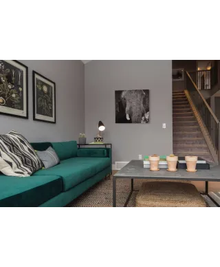 Słoń - obraz na płótnie