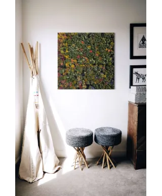 Barwy Natury - obraz na płótnie