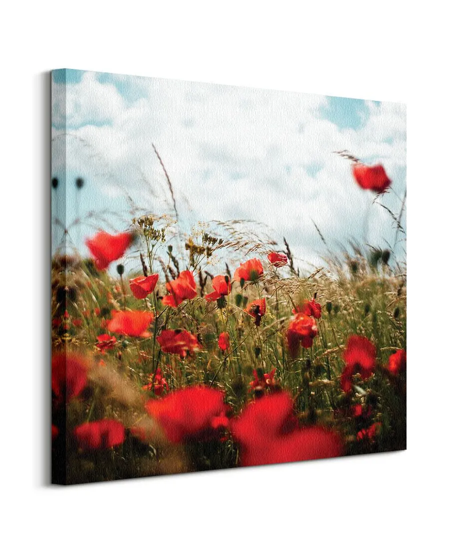Pole Maków - obraz na płótnie