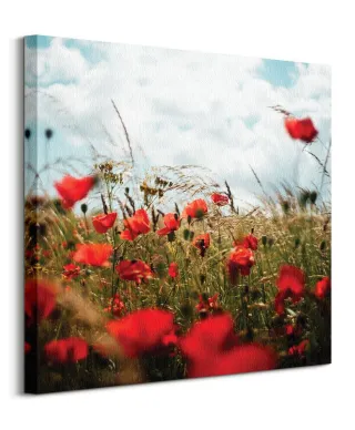 Pole Maków - obraz na płótnie
