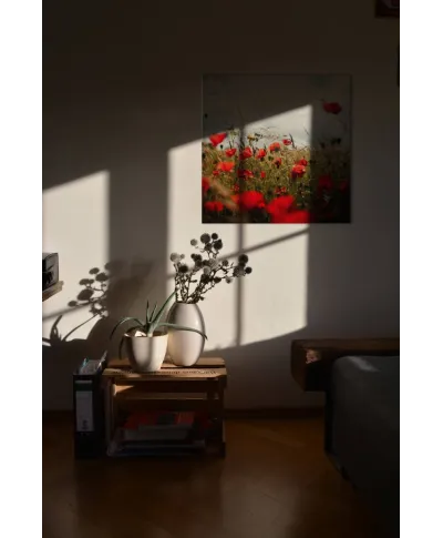 Pole Maków - obraz na płótnie