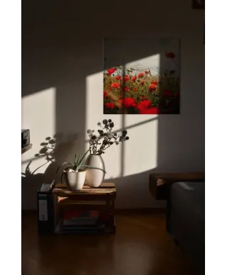 Pole Maków - obraz na płótnie