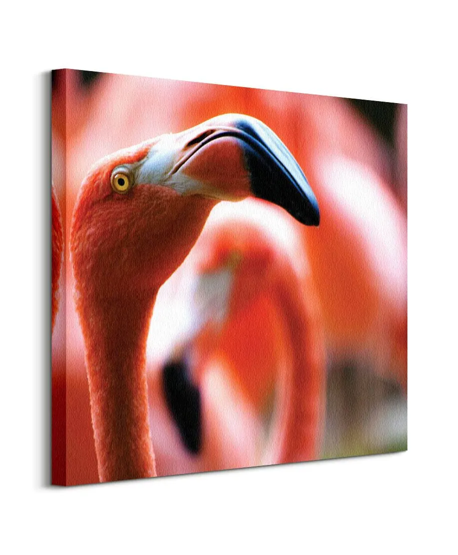 Różowy Flaming - obraz na płótnie