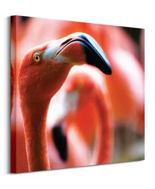 Różowy Flaming - obraz na płótnie