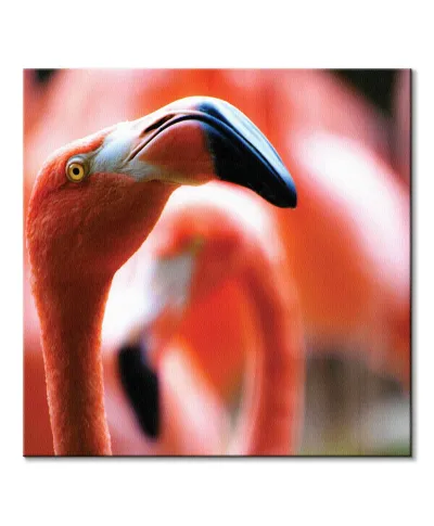 Różowy Flaming - obraz na płótnie