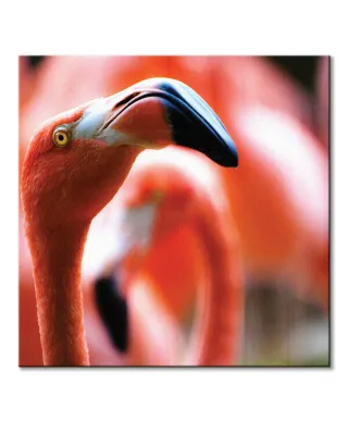 Różowy Flaming - obraz na płótnie