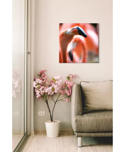 Różowy Flaming - obraz na płótnie