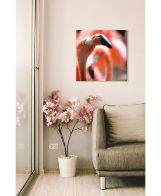 Różowy Flaming - obraz na płótnie