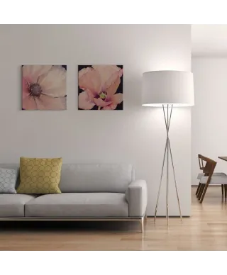 Delicate Pink Poppy - Obraz na płótnie