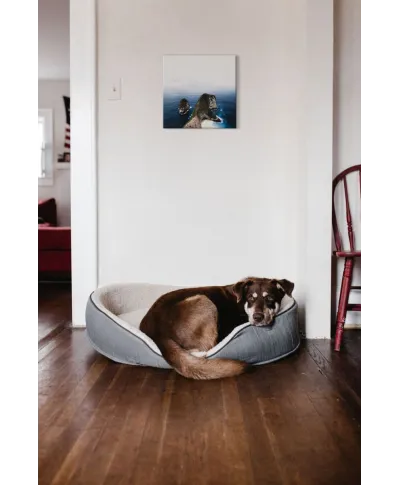 Nusa Penida - obraz na płótnie