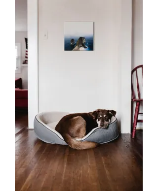 Nusa Penida - obraz na płótnie