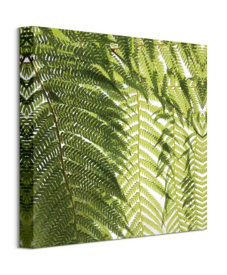 Liście Paproci - obraz na płótnie