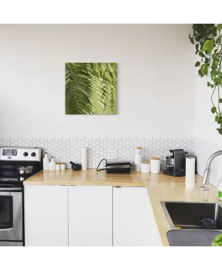 Liście Paproci - obraz na płótnie