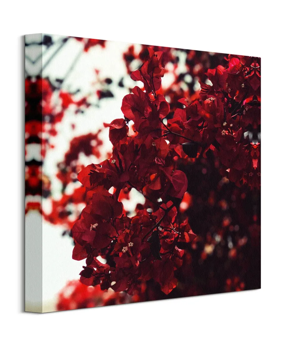 Jesienne Kwiaty - obraz na płótnie