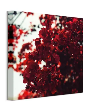 Jesienne Kwiaty - obraz na płótnie