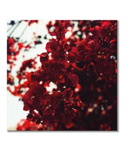 Jesienne Kwiaty - obraz na płótnie