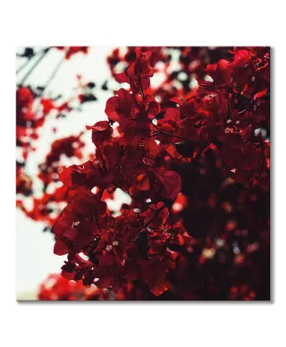 Jesienne Kwiaty - obraz na płótnie