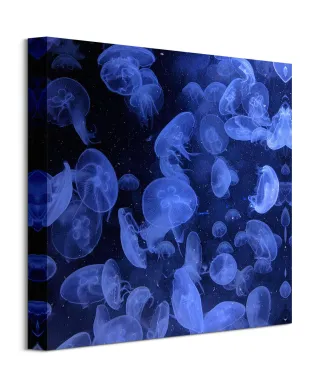 Meduzy - obraz na płótnie