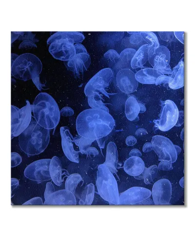 Meduzy - obraz na płótnie