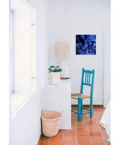 Meduzy - obraz na płótnie