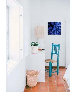 Meduzy - obraz na płótnie