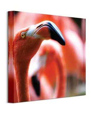 Różowy Flaming - obraz na płótnie