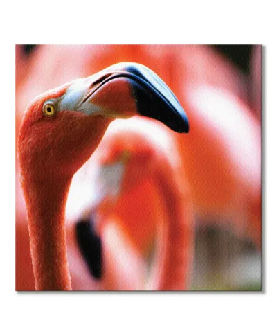 Różowy Flaming - obraz na płótnie