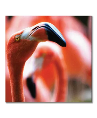 Różowy Flaming - obraz na płótnie