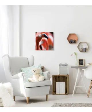 Różowy Flaming - obraz na płótnie