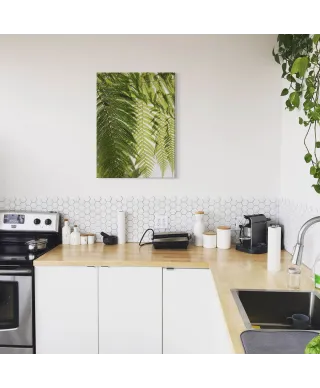 Liście Paproci - obraz na płótnie