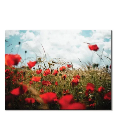 Pole Maków - obraz na płótnie