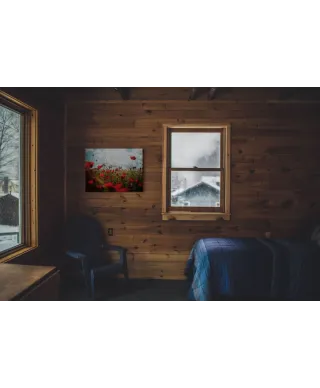 Pole Maków - obraz na płótnie