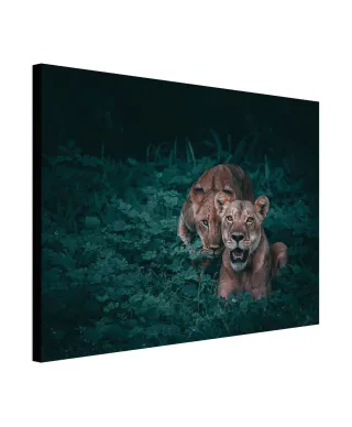 Lwice - obraz na płótnie