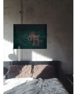 Lwice - obraz na płótnie